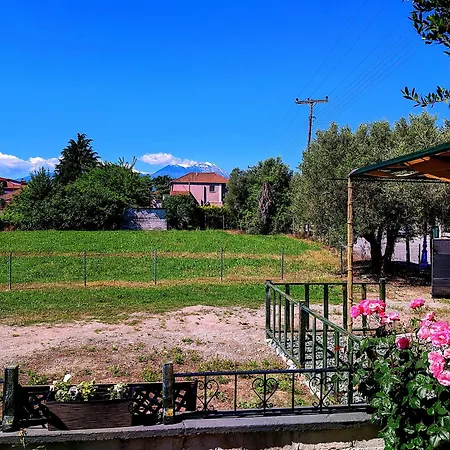 Summer House Rocinante 2